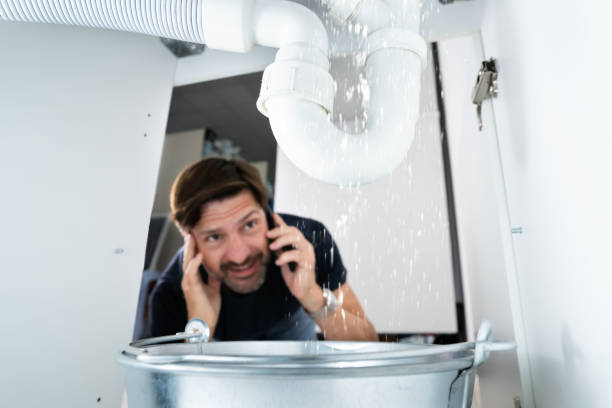 Best Clogged Drain Plumber  in Lakes East, CT